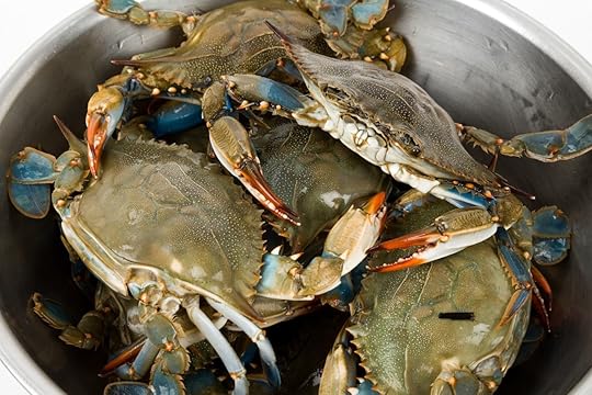 blue crab bucket