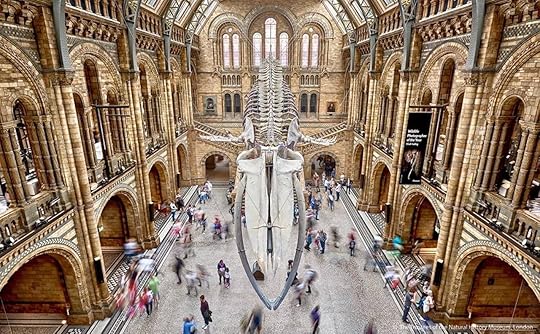 Natural History Museum, London