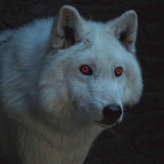 Image result for game of thrones direwolves