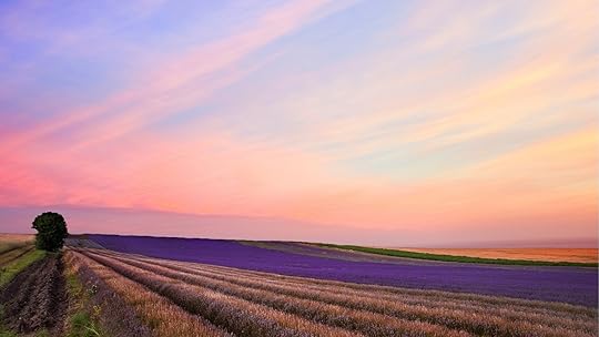 TH Meyer Author of Life of Creative Purpose, website Art of Fear Not: Purpose-Focused Living