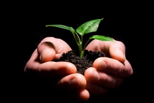 hands holding plant.png