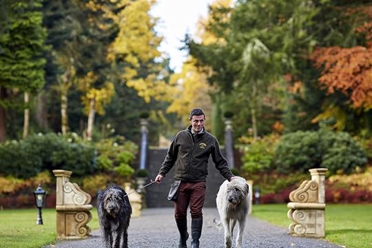 Irish Wolfhounds on a walk around Ashford Castle