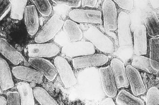 TEM micrograph of