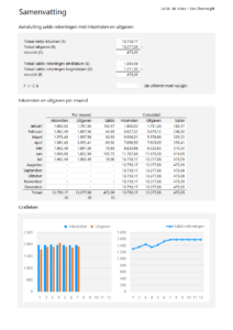 Samenvatting Bewindvoering in Excel