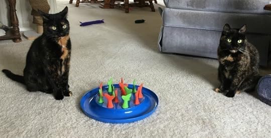 jackson-galaxy-go-fish-food-puzzle