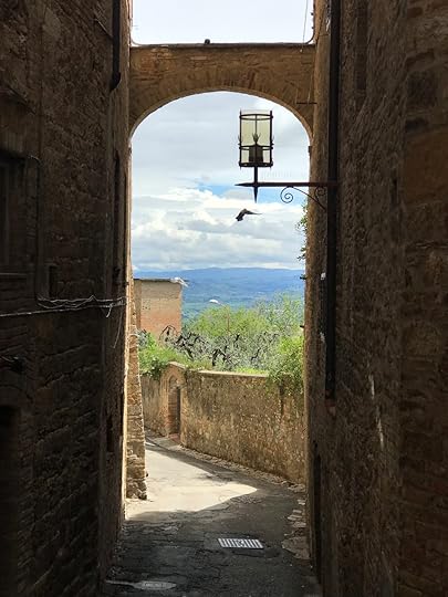 Kathleen Barry and I found a sweet little restaurant down this narrow street in San Gimignano.