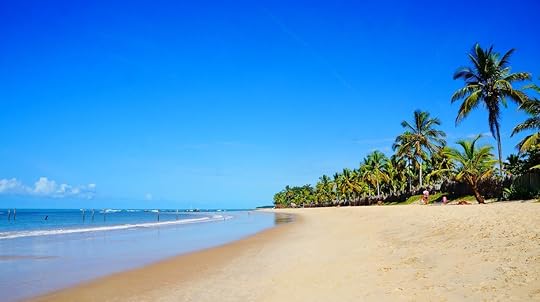 Beautiful Trancoso beach with palm trees, near Seguro Port in Bahia state, Brazil