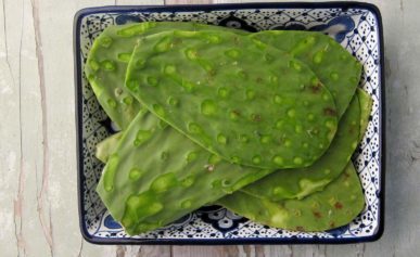 How to cook nopales