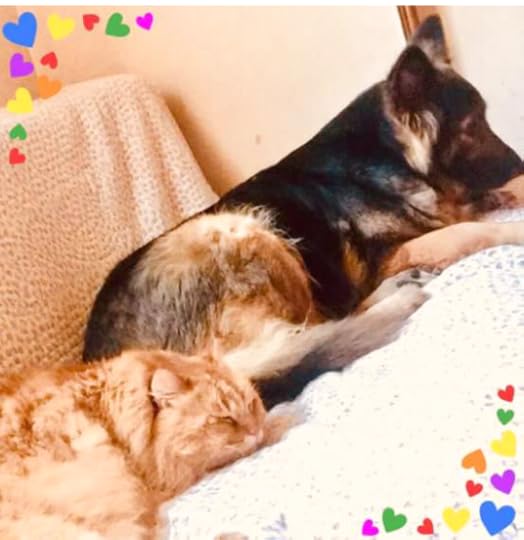 Commercial Photography