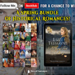 BookBub: Have You Seen it Yet?