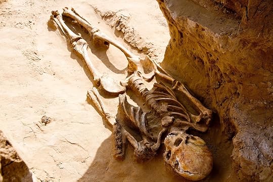 elite nomad skeleton