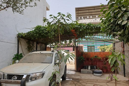 Image may contain: plant, tree, car and outdoor