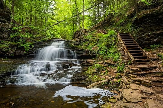 Onondaga Falls, at Ricketts Glen State Park, Pennsylvania