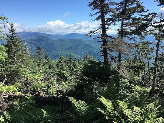 Green Mountains of Vermont from Long Trail