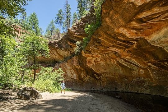 Man trekking through Oak Creek Canyon on the West Fork trail in Arizona