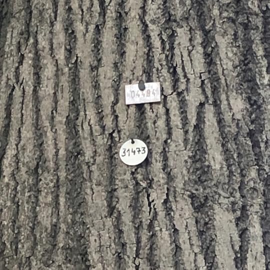 old-new-numbering-system