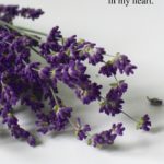 Love Poem Alexandra Vasiliu