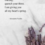 Drink My Heart's Poem Alexandra Vasiliu