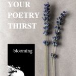 Blooming Poetry Book Alexandra Vasiliu