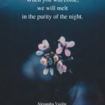 Where Falling Stars Live Poem Alexandra Vasiliu