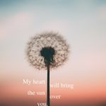 Hope Poem Alexandra Vasiliu