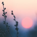 Hope New Poem Alexandra Vasiliu