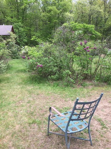 rest spot Lilacland