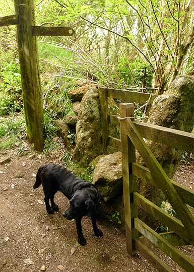 The signpost to our hill
