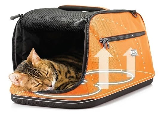 sleepypod-assisi-loop-lounge