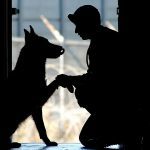 Service-dog-and veteran in silhouette representing Walk in My Paws: An Anthology of Service Dog Stories