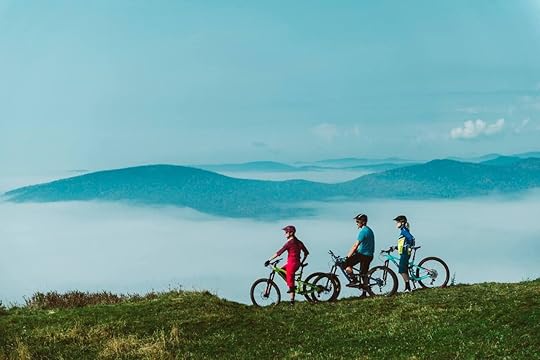 Mountain bikers looking out over the fog