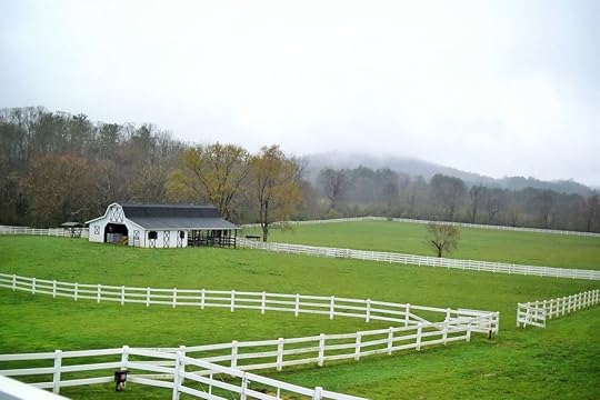 Mist at Horse Shoe Farm