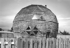 Geodesic house