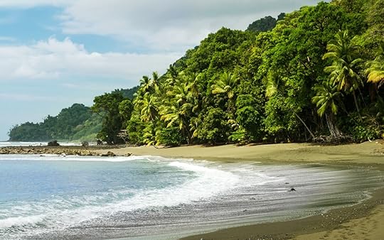 Corcovado National Park, Costa Rica, curving beach with palm trees and jungle