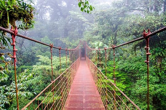 Misty bridge running through the Monteverde rainforest in Costa Rica