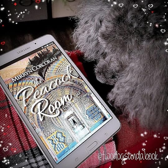 The Peacock Room at Sammezzano Castle