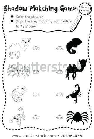 printable desert animals shadow matching game of desert animals for preschool kids activity worksheet layout in coloring printable desert animals mountain lion