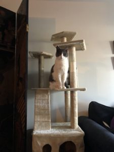 What makes you laugh?