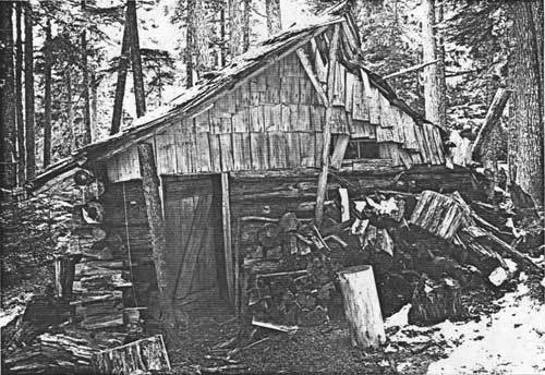  photo Driftwoodshack_zps509e8eda.jpg