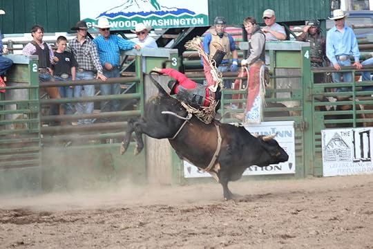 Bull Riding 2IMG_0737.jpg