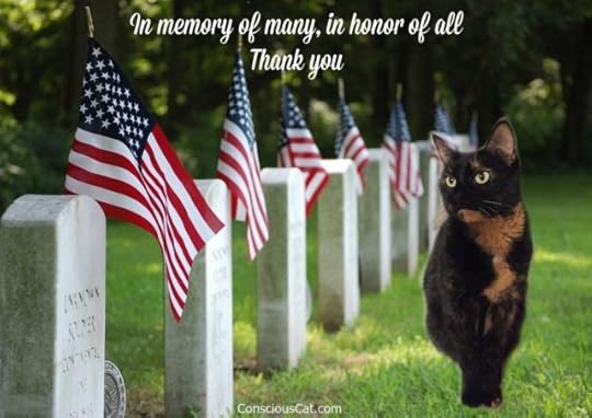 memorial-day-cats