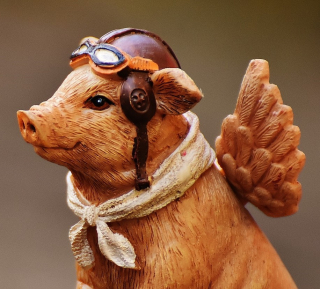 Lucky-pig-1843063_1920