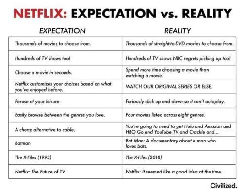 Netflix Expectation vs. Reality