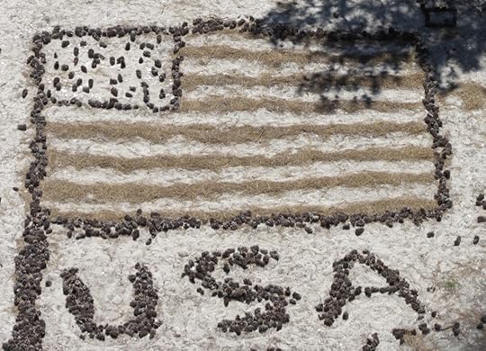 USA - written in the sand at Cape Henlopen State Park, Delaware