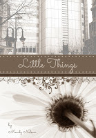 Little Things book cover mock up1