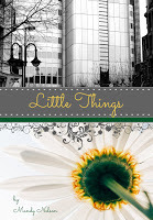 Little Things book cover mock up4