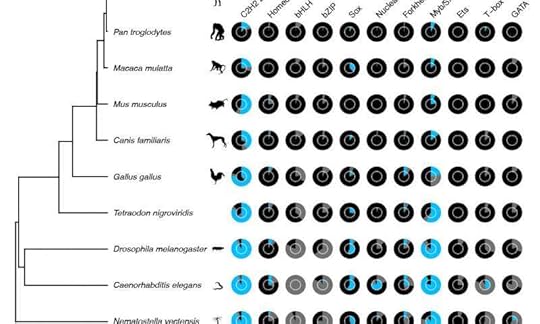 Scientists uncover a trove of genes that could hold key to how humans evolved