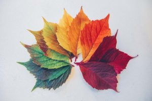 Seasons change