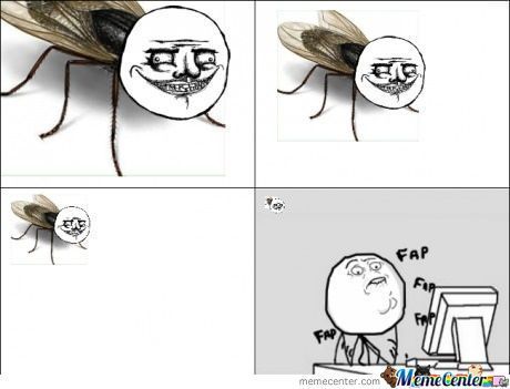 Image result for fly on the wall meme