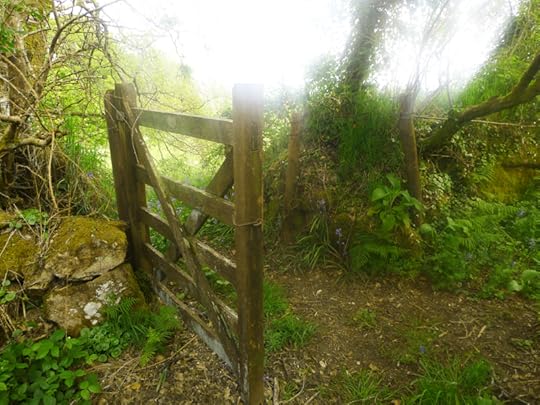 Through the meadow gate.